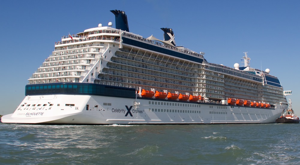 Celebrity Silhouette